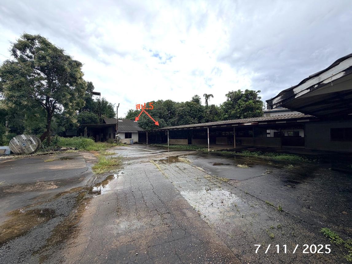 รูป โกดัง 845.3 ตร.วา เมืองเชียงใหม่ เชียงใหม่ 17.7M - รูปที่ 30/59