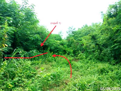 ขายที่ดิน : ที่ดินว่างเปล่า 850 ตร.วา ยุพนัย แก่งคอย สระบุรี 1.5M