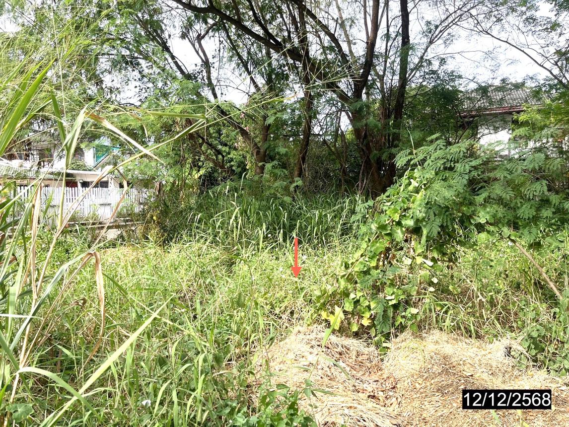 รูป ที่ดินว่างเปล่า 100 ตร.วา เกษมทรัพย์ กรีนวิลเลจ เมืองขอนแก่น ขอนแก่น 1.4M - รูปที่ 14/19