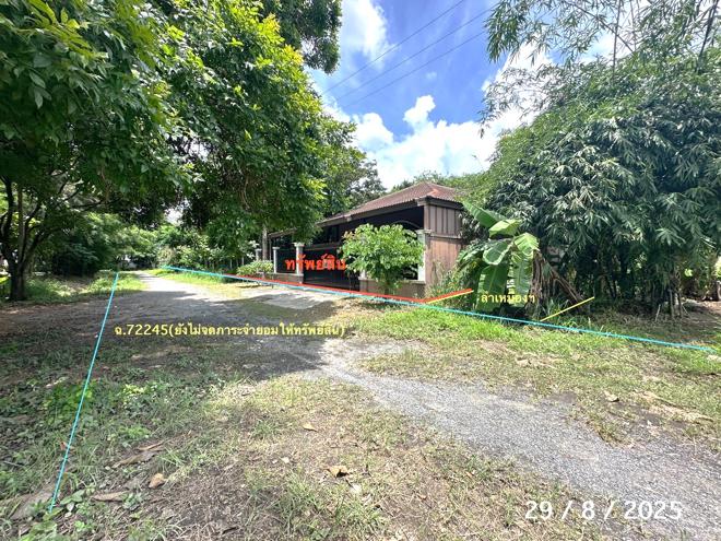 รูป บ้านเดี่ยว 200 ตร.วา เมืองเชียงใหม่ เชียงใหม่ 5.9M - รูปที่ 12/27
