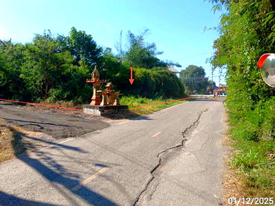 ที่ดิน บึงสามพัน เพชรบูรณ์ : ที่ดินว่างเปล่า 164 ตร.วา บึงสามพัน เพชรบูรณ์ 1M