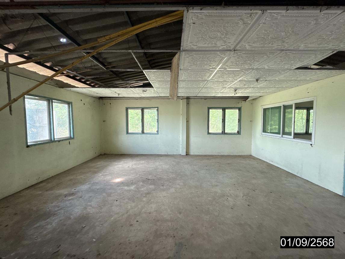picture FACTORY 1848 Sq.w. Phu Khieo Chaiyaphum for 4.3M - 32/45