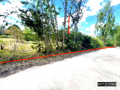ขายที่ดิน : ที่ดินว่างเปล่า 2967 ตร.วา ปทุมราชวงศา อำนาจเจริญ 1.4M