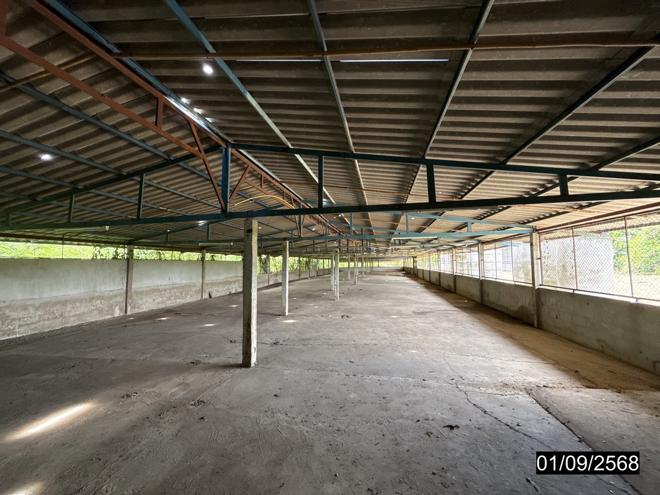 picture FACTORY 1848 Sq.w. Phu Khieo Chaiyaphum for 4.3M - 15/45