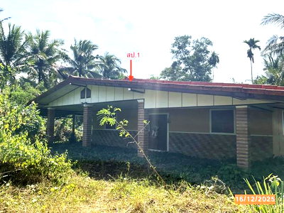 Houses for sale : HOME 1725.2 Sq.w. Muang Trang Trang for 3.1M