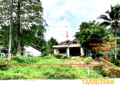 บ้านเดี่ยว กระบี่ : บ้านเดี่ยว 489 ตร.วา คลองท่อม กระบี่ 3.8M