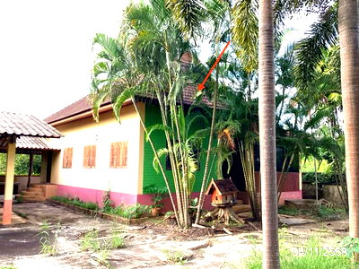 บ้านเดี่ยว เชียงราย : บ้านเดี่ยว 273 ตร.วา เทิง เชียงราย 2.4M