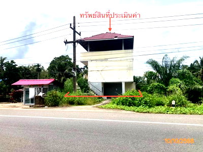 Houses for sale Surat Thani : HOME 94 Sq.w. Don Sak Surat Thani for 4.8M