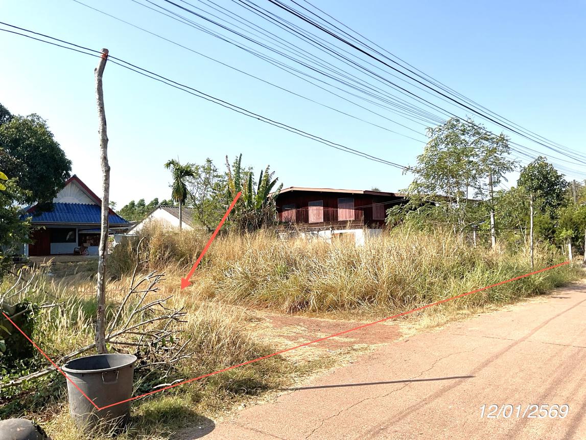รูป บ้านเดี่ยว 503.6 ตร.วา ประจันตคาม ปราจีนบุรี 1.7M - รูปที่ 31/35