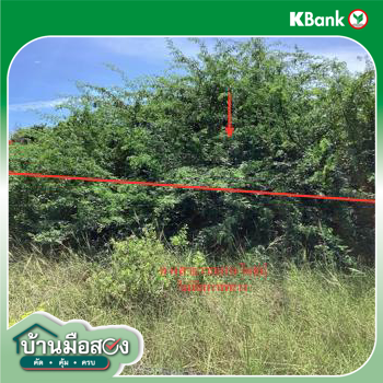 รูป ที่ดินว่างเปล่า 710 ตร.วา ปราณบุรี ประจวบคีรีขันธ์ 2.7M - รูปที่ 17/19