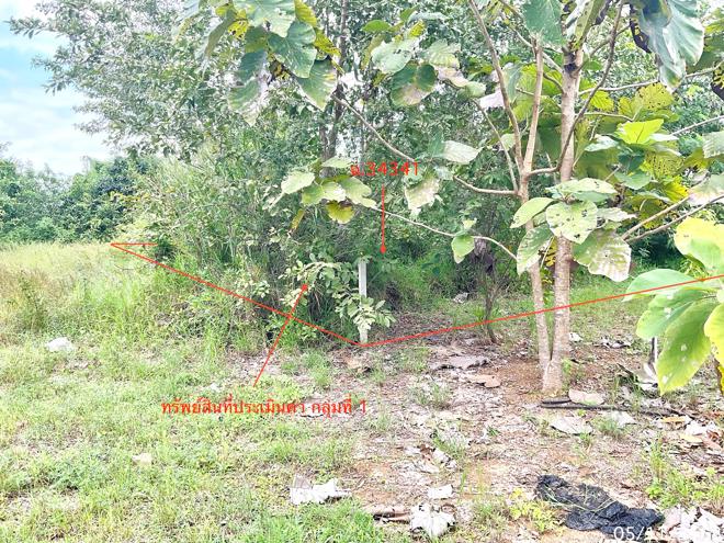 รูป ที่ดินว่างเปล่า 308 ตร.วา ปราณบุรี ประจวบคีรีขันธ์ 1.2M - รูปที่ 6/25