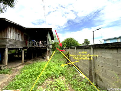 ขายที่ดิน : ที่ดินว่างเปล่า 219 ตร.วา ชัยบาดาล ลพบุรี 636,000