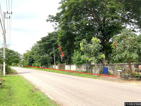 รูป ที่ดินว่างเปล่า 1867 ตร.วา ศรีบุญเรือง หนองบัวลำภู 3.6M - รูปที่ 12/15