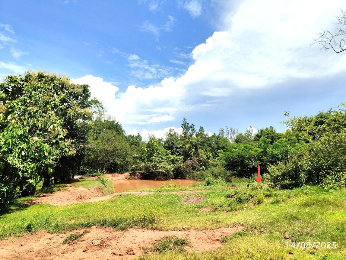 รูป ที่ดินว่างเปล่า 6108 ตร.วา ฟากท่า อุตรดิตถ์ 2.1M - รูปที่ 13/17