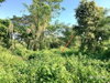 listing thumbnail image 11