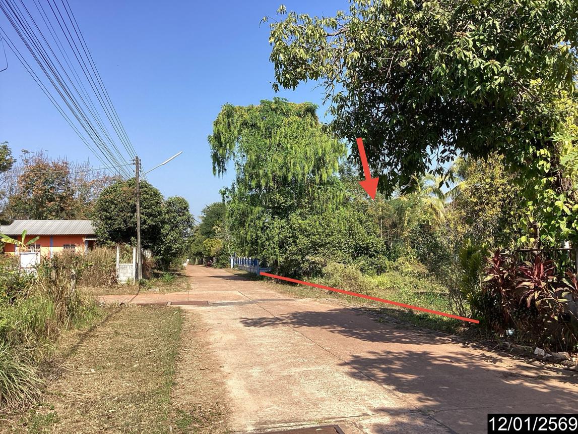 picture LAND 400 Sq.w. Nongkai for 1.4M - 20/25