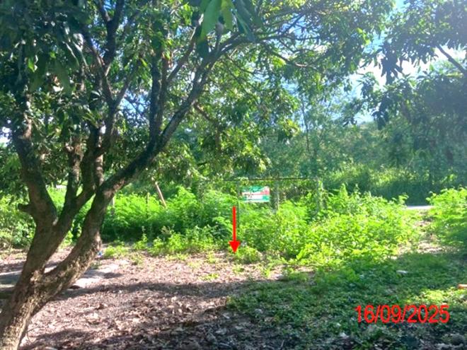รูป บ้านเดี่ยว 247 ตร.วา ป่าซาง ลำพูน 768,000 - รูปที่ 12/33