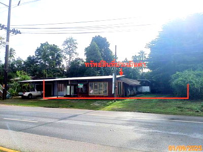 บ้านเดี่ยว กระบี่ : บ้านเดี่ยว 348 ตร.วา คลองท่อม กระบี่ 6M