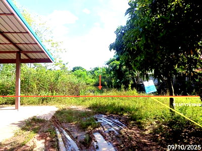 ขายที่ดิน : ที่ดินว่างเปล่า 377 ตร.วา เสลภูมิ ร้อยเอ็ด 1.1M