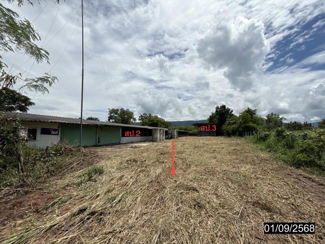 picture FACTORY 1848 Sq.w. Phu Khieo Chaiyaphum for 4.3M - 19/45