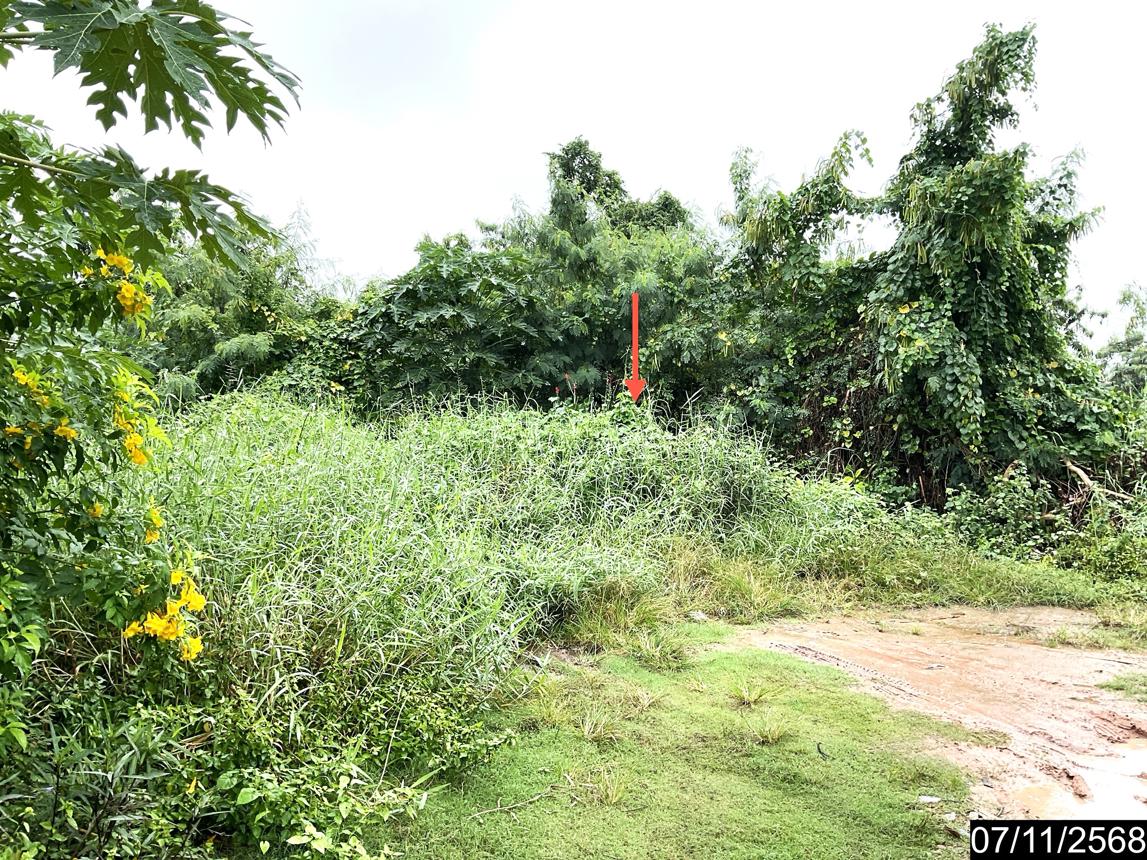 รูป ที่ดินว่างเปล่า 236 ตร.วา เมืองนครราชสีมา นครราชสีมา 5.5M - รูปที่ 15/25