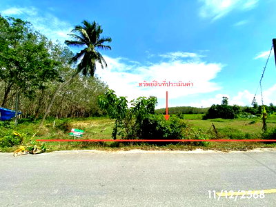 ขายที่ดิน : ที่ดินว่างเปล่า 212 ตร.วา ควนเนียง สงขลา 1.2M