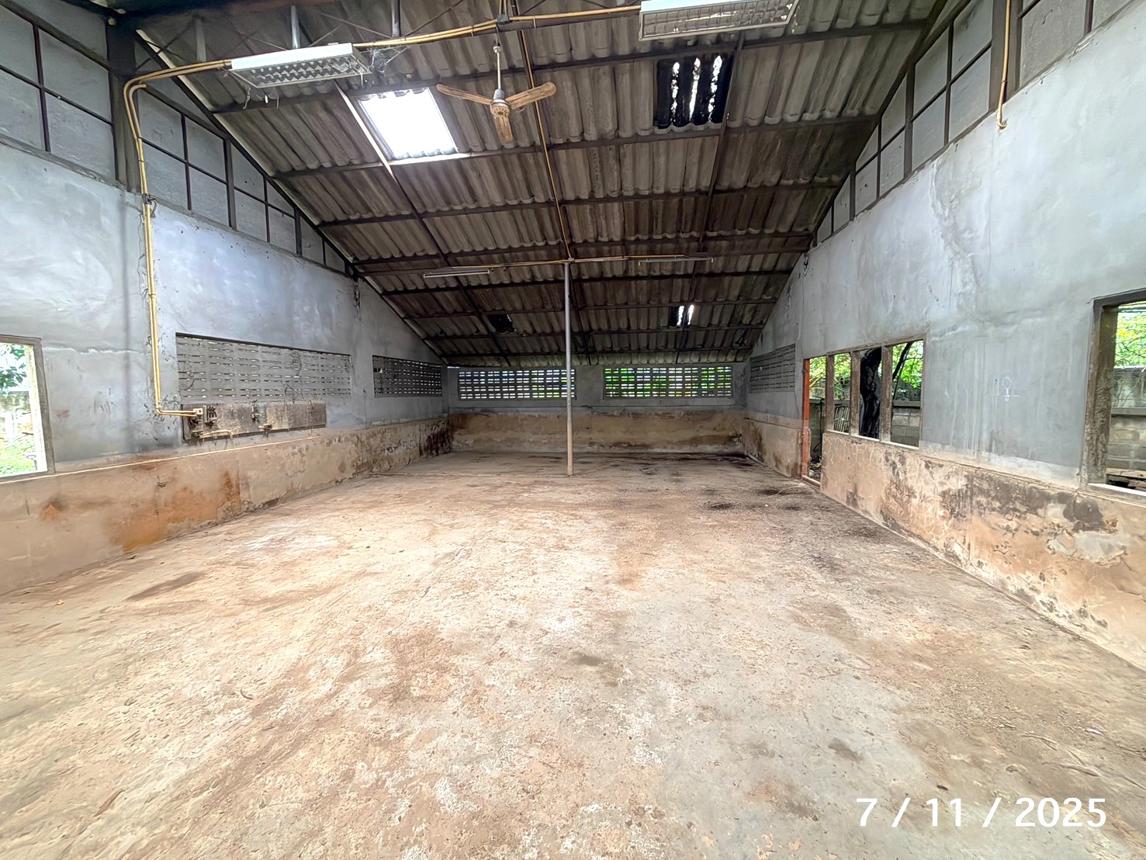 รูป โกดัง 845.3 ตร.วา เมืองเชียงใหม่ เชียงใหม่ 17.7M - รูปที่ 31/59