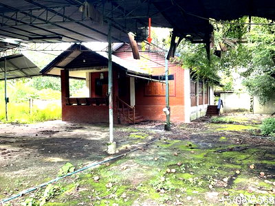 บ้านเดี่ยว เชียงราย : บ้านเดี่ยว 2082 ตร.วา แม่จัน เชียงราย 5M
