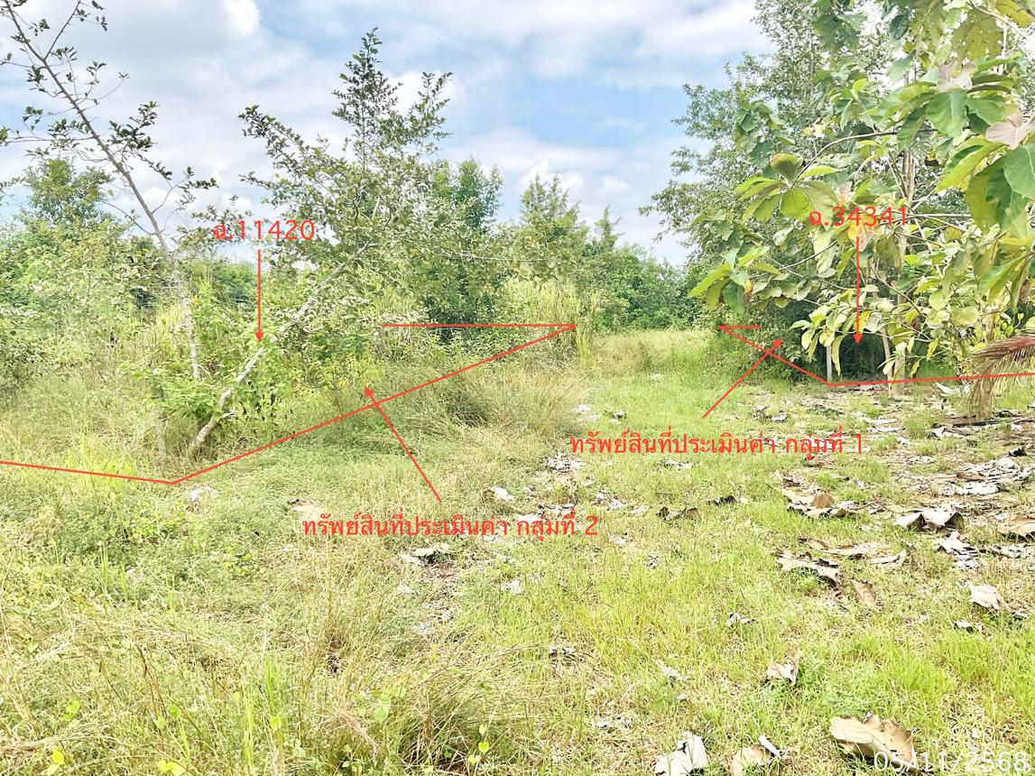 รูป ที่ดินว่างเปล่า 308 ตร.วา ปราณบุรี ประจวบคีรีขันธ์ 1.2M - รูปที่ 18/25