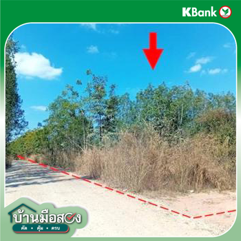 รูป ที่ดินว่างเปล่า 7698 ตร.วา ศรีบุญเรือง หนองบัวลำภู 2.4M - รูปที่ 13/15