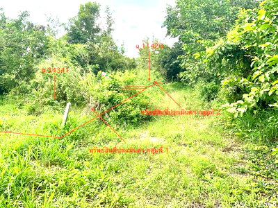 ที่ดิน ปราณบุรี ประจวบคีรีขันธ์ : ที่ดินว่างเปล่า 308 ตร.วา ปราณบุรี ประจวบคีรีขันธ์ 1.7M