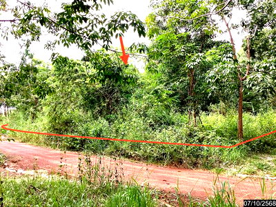 ขายที่ดิน : ที่ดินว่างเปล่า 21580 ตร.วา โซ่พิสัย บึงกาฬ 4.7M