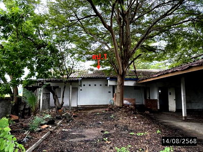 บ้านเดี่ยว วิทยาลัยพยาบาลบรมราชชนนี ขอนแก่น : บ้านเดี่ยว 600 ตร.วา เมืองขอนแก่น ขอนแก่น 6.6M
