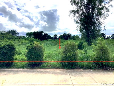 ขายที่ดิน : ที่ดินว่างเปล่า 563 ตร.วา ลาดยาว นครสวรรค์ 352,000