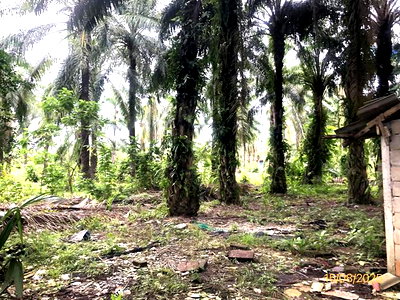 ที่ดินว่างเปล่า 3748 ตร.วา ท่าชนะ สุราษฎร์ธานี 22.4M