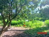 listing thumbnail image 25