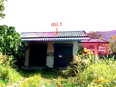 Houses for sale Surat Thani : HOME 218 Sq.w. Kanchanadit Surat Thani for 2.6M