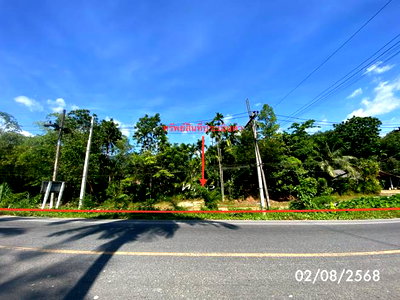 ขายที่ดิน : ที่ดินว่างเปล่า 320 ตร.วา กงหรา พัทลุง 2M