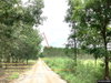 listing thumbnail image 20