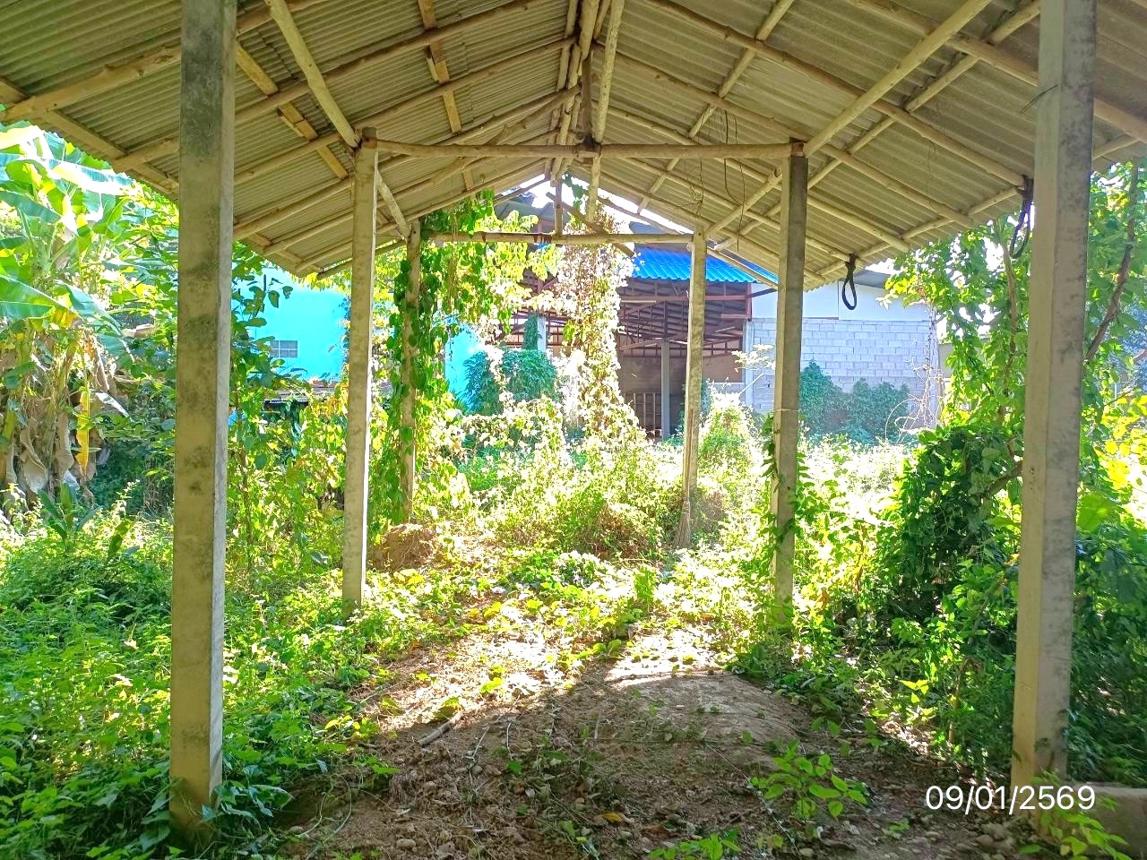รูป บ้านเดี่ยว 694 ตร.วา เวียงชัย เชียงราย 5.3M - รูปที่ 43/49