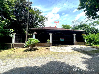 บ้านเดี่ยว เชียงใหม่ไนท์ซาฟารี : บ้านเดี่ยว 200 ตร.วา เมืองเชียงใหม่ เชียงใหม่ 4.5M