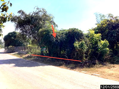 ขายที่ดิน : ที่ดินว่างเปล่า 220 ตร.วา ศรีวิไล บึงกาฬ 1.5M