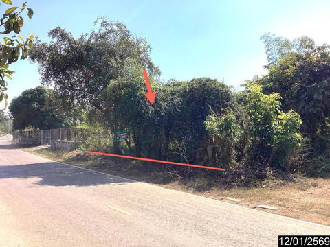 ที่ดินว่างเปล่า 220 ตร.วา ศรีวิไล บึงกาฬ 2M