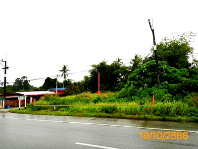 ขายที่ดิน : ที่ดินว่างเปล่า 320 ตร.วา อ่าวลึก กระบี่ 3.6M