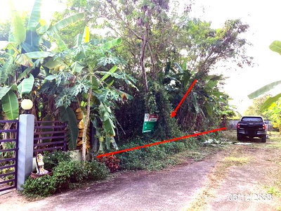 ขายที่ดิน : ที่ดินว่างเปล่า 280.4 ตร.วา กาญจน์สิริพบโชค แม่ลาว เชียงราย 1.4M