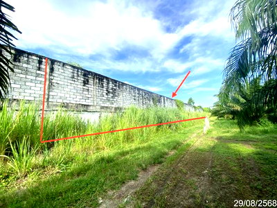 ที่ดินว่างเปล่า 1016.8 ตร.วา บ้านบึง ชลบุรี 13.6M