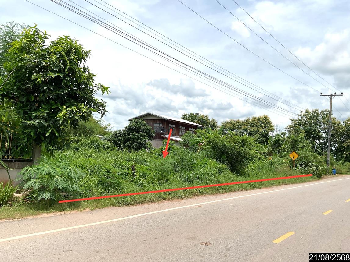 รูป ที่ดินว่างเปล่า 801 ตร.วา ศรีบุญเรือง หนองบัวลำภู 1.1M - รูปที่ 8/15