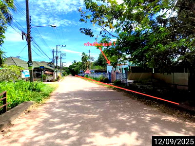 ขายโรงงาน : อาคารโรงงาน 3900.7 ตร.วา เมืองชุมพร ชุมพร 19.9M