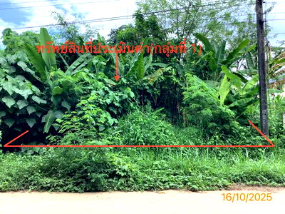 ที่ดิน ย่านตาขาว ตรัง : ที่ดินว่างเปล่า 207.4 ตร.วา ย่านตาขาว ตรัง 1.3M