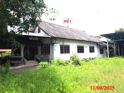 บ้านเดี่ยว เชียงใหม่ : บ้านเดี่ยว 339 ตร.วา หางดง เชียงใหม่ 3M